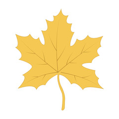Golden leaves vector