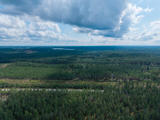 Forest landscape of Finland drone photo