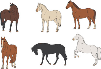 Collection of cartoon horses in different poses, vector farm animals, domestic horse illustrations, various coat colors, flat style drawing.