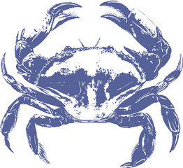 blue crab on white background