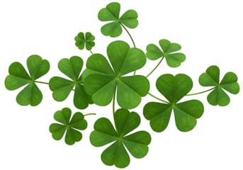 Green Shamrock Clover Leaves Illustration
