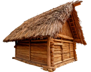  Side View Thatched Hut PNG
