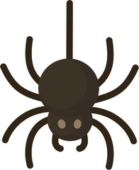 Cute spider hanging on web
