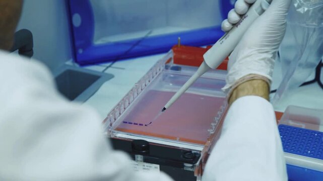 Scientist meticulously pipetting a sample into a gel electrophoresis tray during a laboratory experiment.