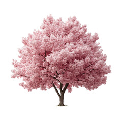 Obraz premium Natural Blooming Tree with Pink or White Blossoms