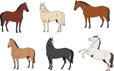 Set of cartoon horses in different poses, vector illustration, domestic animal collection, farm mammal drawings, colorful horse clipart, flat style.