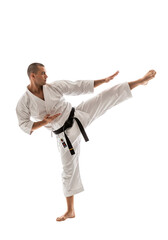 Dynamic Karate Practitioner in Motion: A skilled karate practitioner executes a powerful high kick in a pristine, creating a compelling visual of martial arts prowess and physical discipline.