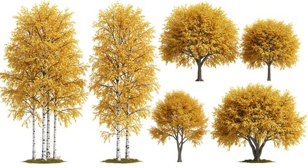 Autumn trees collection against white background