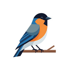 Fototapeta premium Colorful bird perched on a branch, featuring blue, orange, and black plumage.
