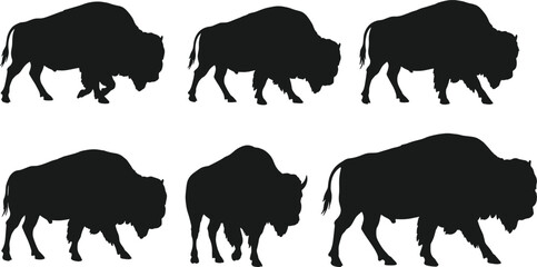 Silhouettes of bison in various walking poses, wild animal, nature wildlife, buffalo herd, American bison, strength, power, outdoors, grazing.