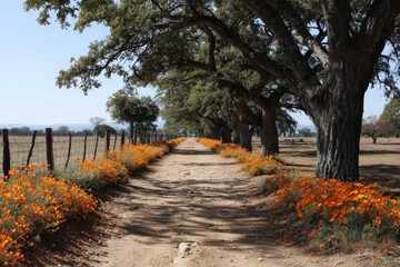 Naklejka premium broad dirt road leads into distance surrounded by colorful wildflowers on either side