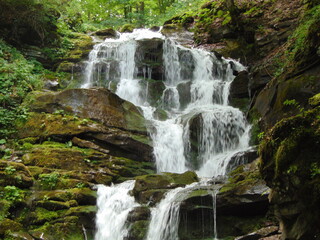 A cascading waterfall flows over moss-covered rocks in a lush forest. The rushing water creates a refreshing, tranquil scene surrounded by greenery and natural beauty