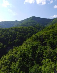 Lush green mountain range (1)