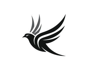 Obraz premium Abstract black and grey bird in flight with stylized wings on white background vector illustration