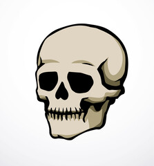 Vector drawing. Skull and neck bones