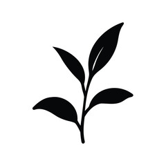 Elegant silhouette of a young plant stem and leaves on white