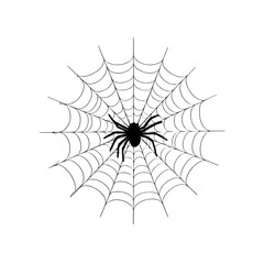 "Spider on web illustration isolated on white background."
