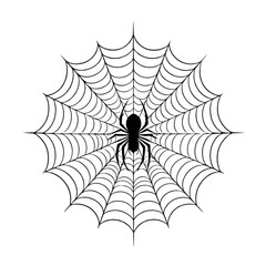 "Spider on web illustration isolated on white background."