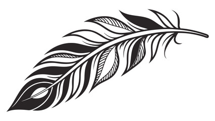 Detailed black and white feather illustration with intricate line work and elegant curving shape design element