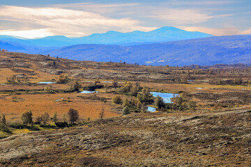 Fall in Forrolhogna National Park, Norway