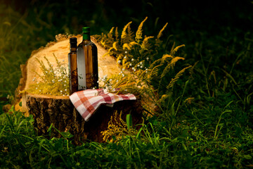 Two tinted glass bottles for food and medicinal products. A rectangular and cylindrical dark glass bottle stand on a tree stump, among goldenrod and chamomile flowers. Herbal or olive oil products.