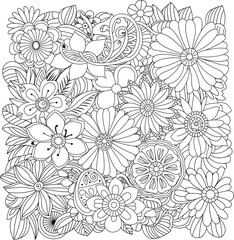 Intricate floral mandala design for coloring relaxation and creative expression white background