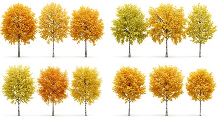 Fototapeta premium Autumn trees isolated on white background