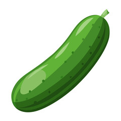 cucumber isolated on white background