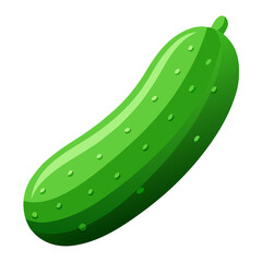 illustration of cucumber