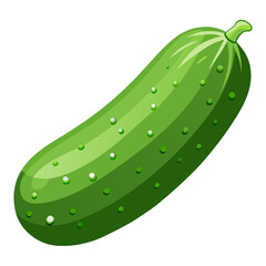 cucumber with leaves