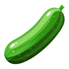vector illustration of a cucumber