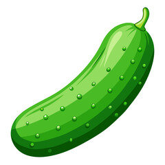 vector illustration of a cucumber