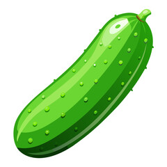 illustration of cucumber