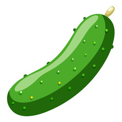 illustration of cucumber