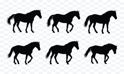 Abstract geometric design with vibrant color palette and typography