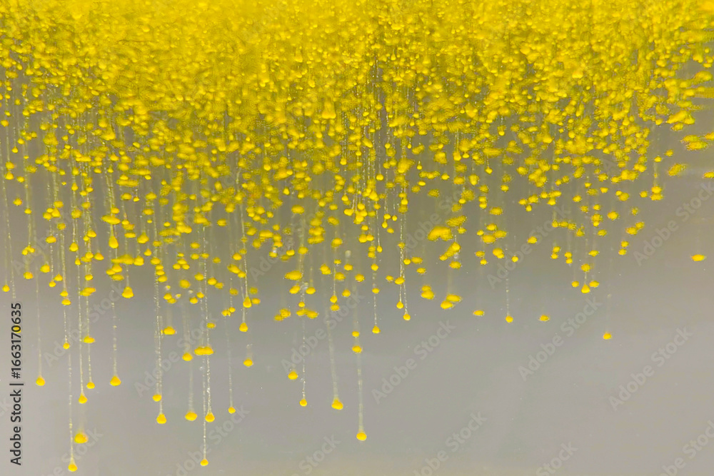 Poster abstract background with chaotic particle flow yellow rain sand drops big bang universe creation com