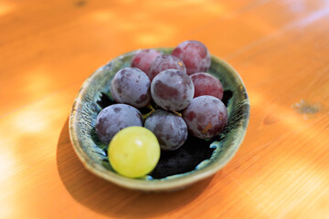 葡萄園ぶどう園ぶどう狩り