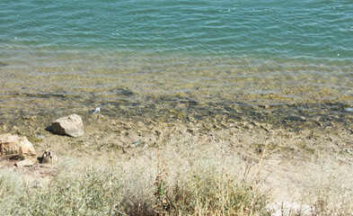 view of the Sea of Azov from the shore