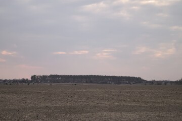 Wide plowed farmland field in early spring season with distant tree line under cloudy dramatic sky...