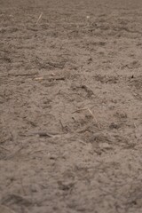Close up of dry soil with organic debris and natural texture symbolizing agriculture, farming, environment and ecological background