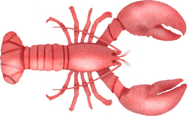 red lobster painting art illustration 