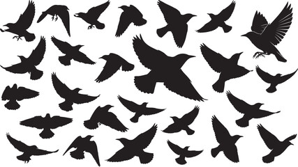 Common starling bird silhouettes, Flying starlings vector pack, Flock of birds silhouette set, Dynamic starling flight illustrations, Avian silhouettes for nature designs