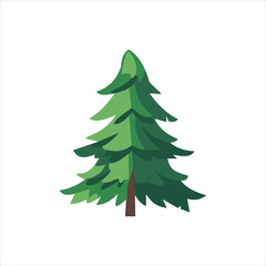 Green pine tree illustration isolated on white background for design