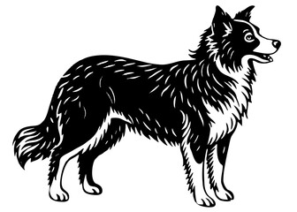 Naklejka premium Border Collie Standing Silhouette Linocut, Herding Dog Vector Art