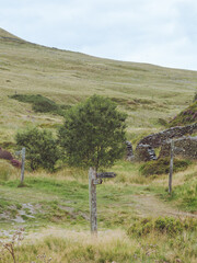 Weathered fingerpost signs on the moors showing Derbyshire hiking trails in the UK