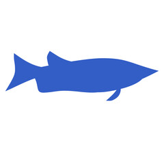 Fish Silhouette