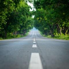 Country road through trees