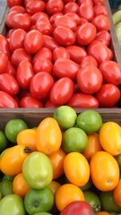 Fresh tomatoes of various colors and sizes in wooden crates