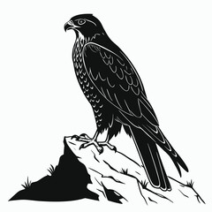 Falcon on rocky ledge silhouette
