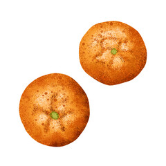 Orange fruit hand drawn. Citrus fruit isolated on transparent background. Botanical painting for wallpaper, card, poster, menu, textile element, seamless element.